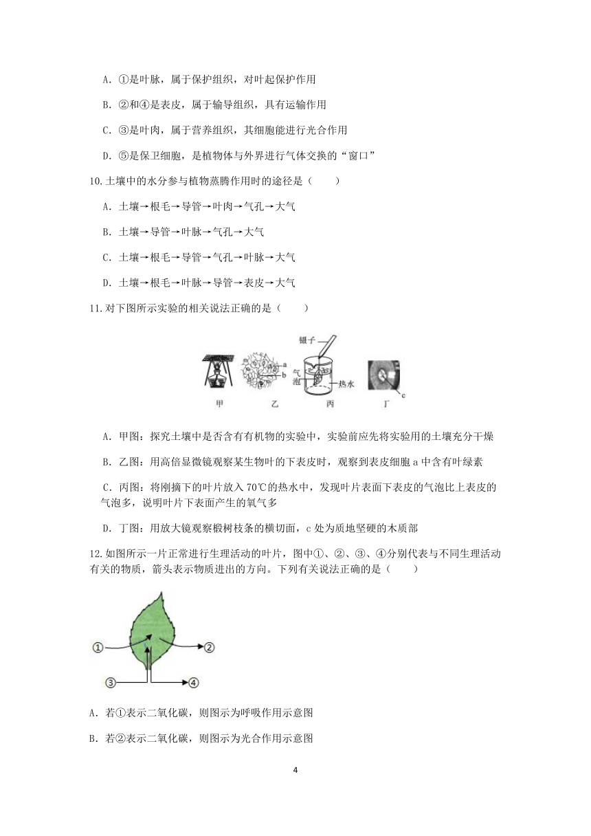 浙教版八年级科学2022-2023学年第二学期期末复习专题训练（一）：植物的蒸腾作用【word，含解析】