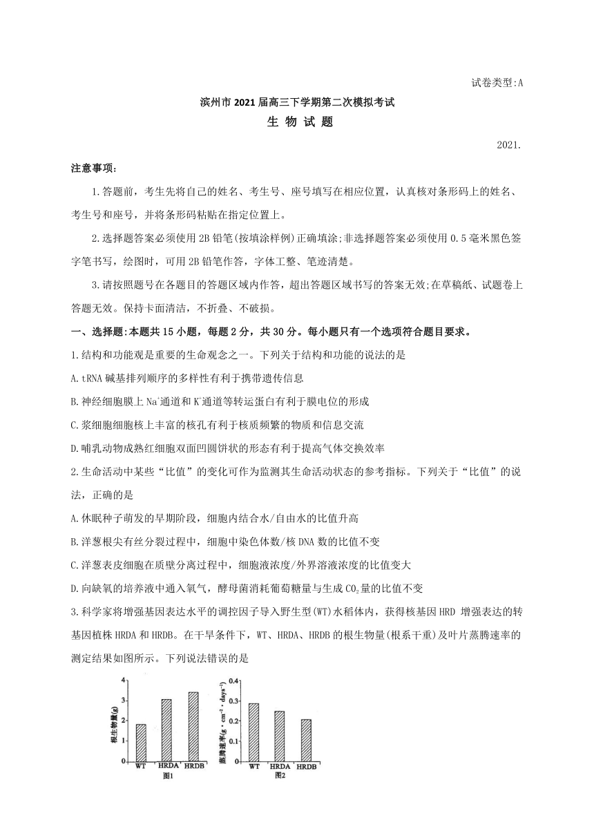 山东省滨州市2021届高三下学期5月第二次模拟考试生物试题 Word版含答案