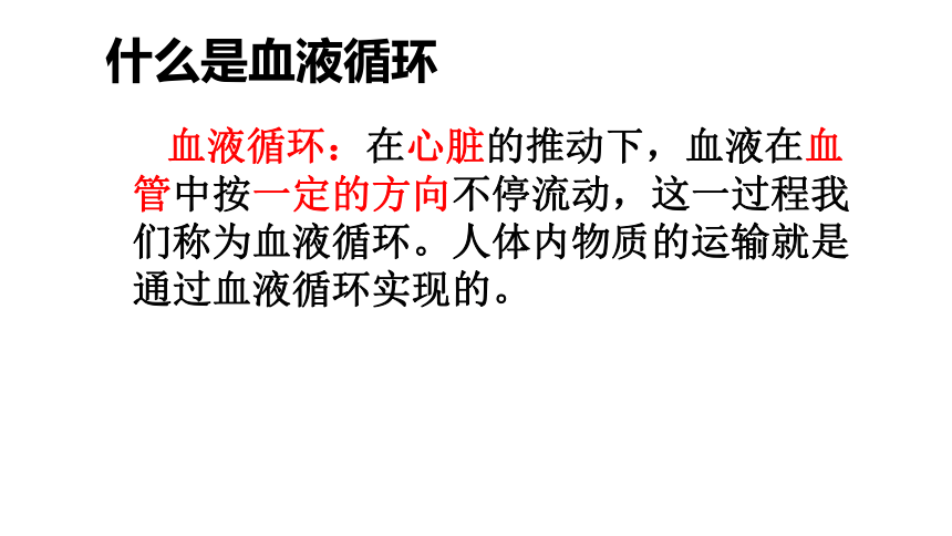 济南版七年级下册生物 3.3物质运输的途径 课件（19张PPT）