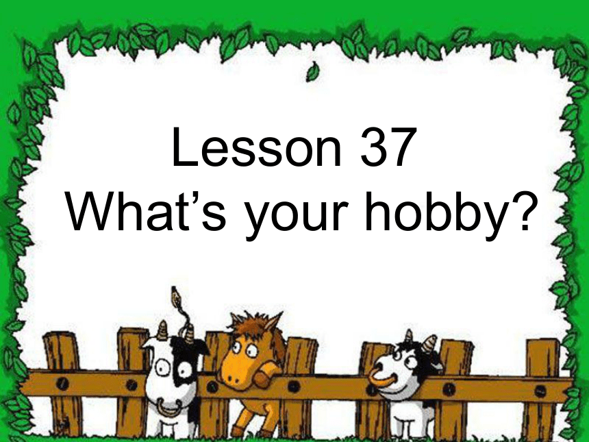冀教版 八年级上 Unit 7 Lesson 37 What's Your hobby？课件 (共15张PPT)