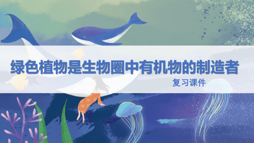 2021-2022学年初中生物人教版七年级上册 3.4绿色植物是生物圈中有机物的制造者  复习课件(共24张PPT)