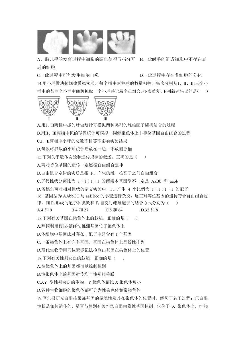 四川省江油中重点学2020-2021学年高一下学期期中考试生物试卷（word版含答案）