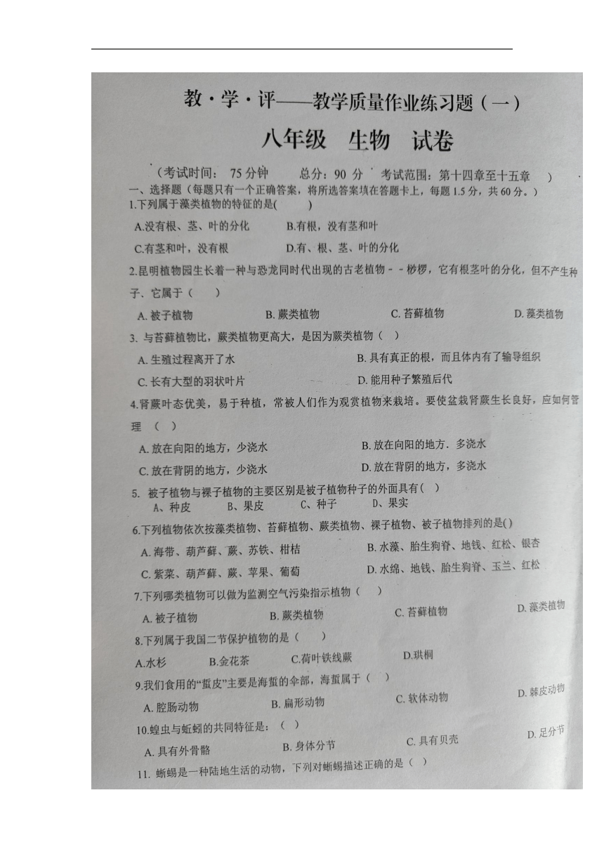云南省文山市第三中学2022-2023学年八年级上学期第一次月考生物试题（图片版，含答案）