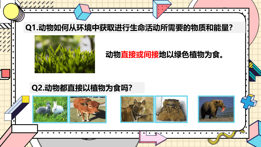 17.1 动物在生物圈中的作用课件(共21张PPT)2021--2022学年北师大版生物八年级上册