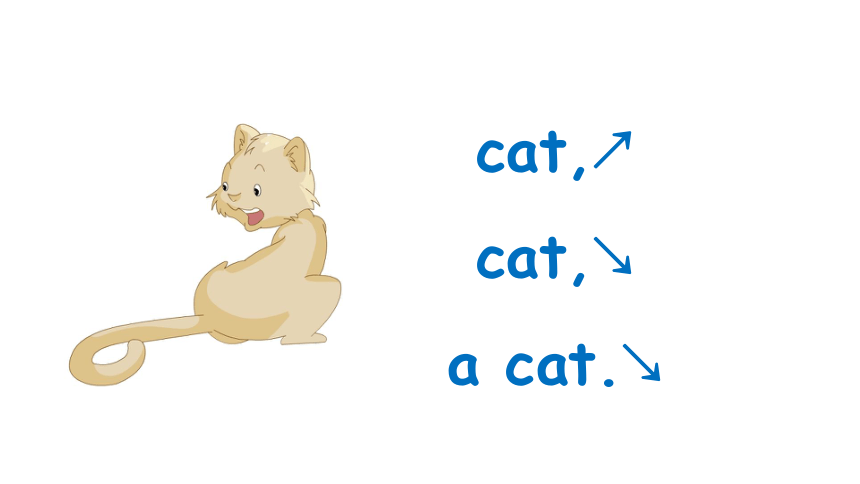 Unit 3 Animals  Lesson 1 课件(共25张PPT)