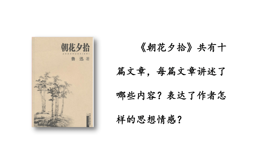 部编版七年级语文上册课(共50张PPT)件--第三单元 名著导读：《朝花夕拾》 消除与经典的隔膜