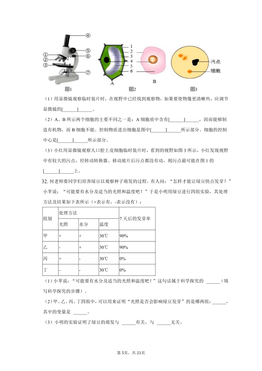 广东省惠州市第五中学2022-2023学年七年级上学期期中生物试题（含解析）