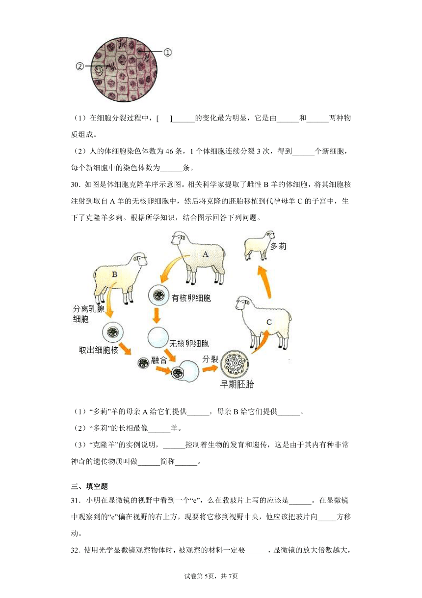 黑龙江省牡丹江市2021-2022学年七年级上学期期中生物试题（word版 含答案）