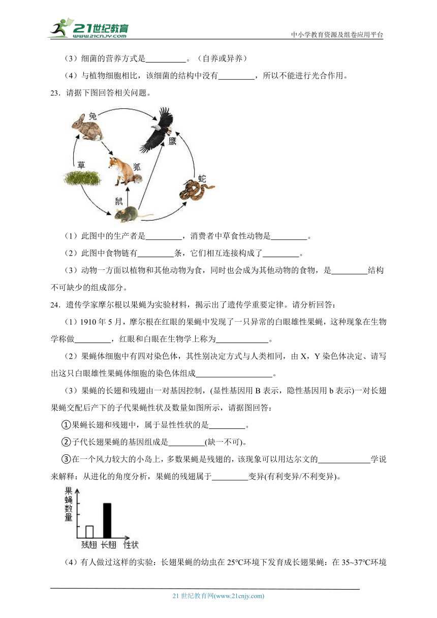 初中生物（通用）历年中考高频考点真题汇总（精华）