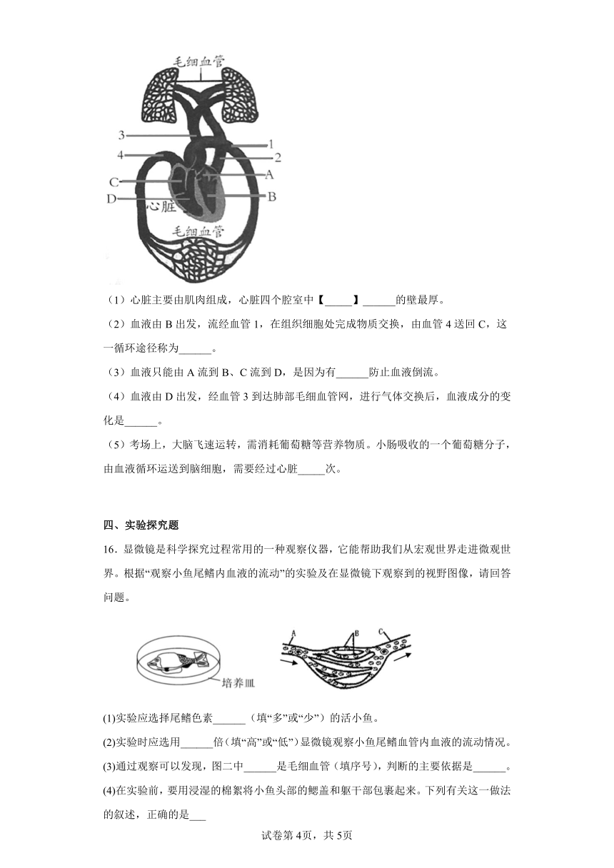 第五章 生物体内的物质运输 章节练习 （含解析）生物七年级下册 北京版