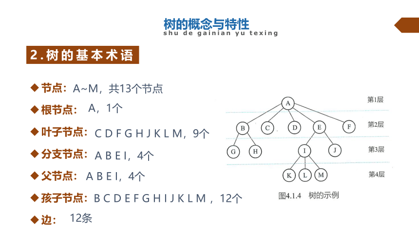 4.1树与二叉树　课件-2021-2022学年浙教版（2019）高中信息技术选修1（28张PPT）