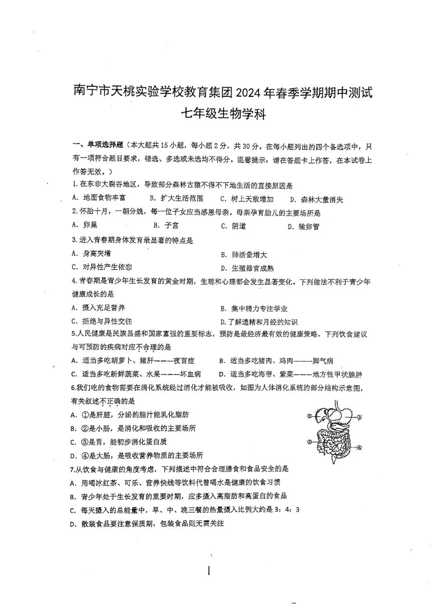 广西南宁市天桃实验学校2023-2024学年七年级下学期4月期中生物试题（pdf版无答案）
