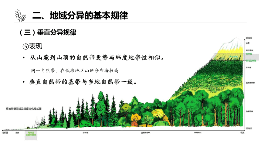 高中地理湘教版（2019）选择性必修1 5.2自然环境的地域差异性（共41张ppt）