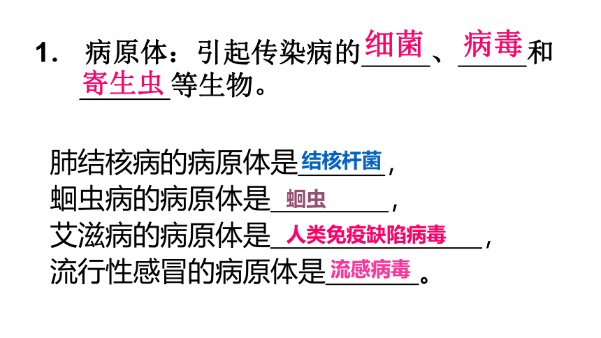 2020-2021学年人教版八年级生物下册  8.1 传染病和免疫 复习课件 (共26张PPT)