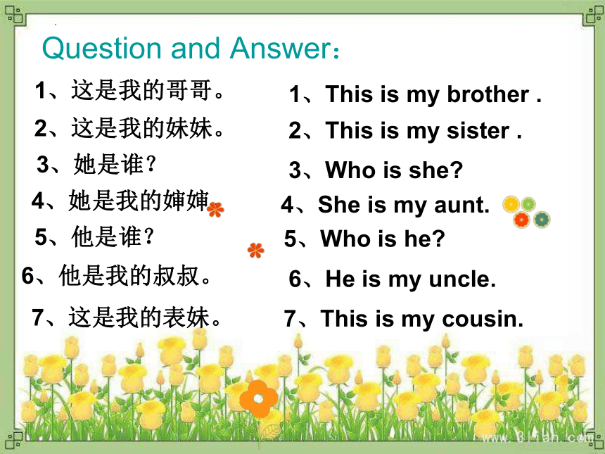 Unit 2 Lesson 12 I Love My Family!课件(共23张PPT)