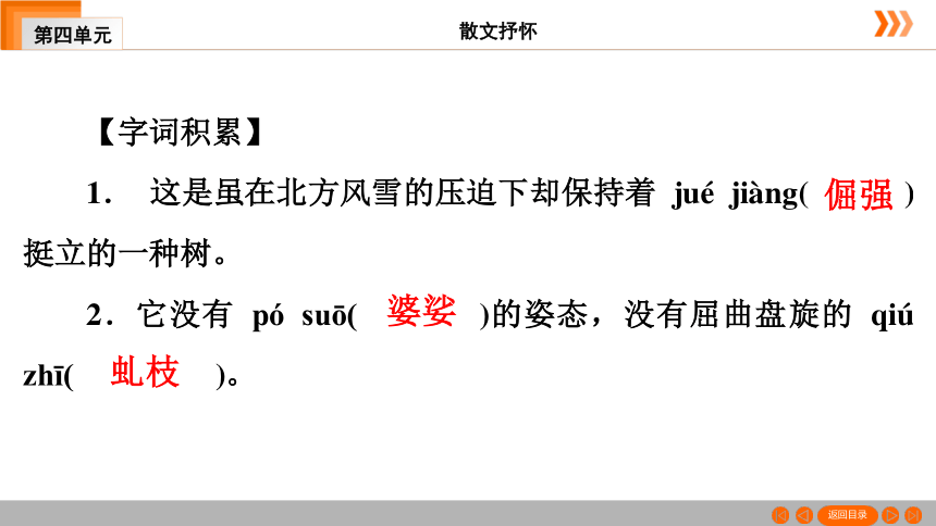 15 白杨礼赞习题课件（共49张幻灯片）