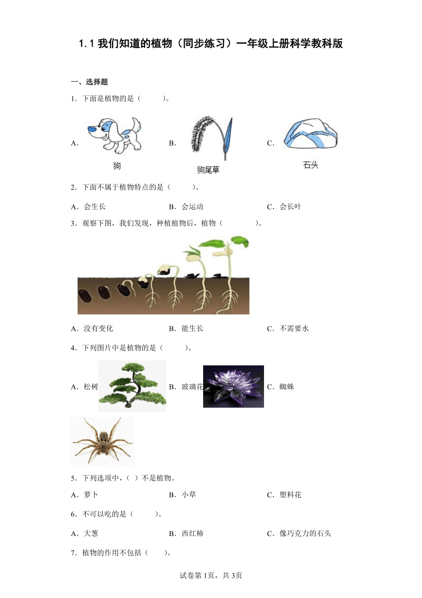 教科版（2017秋） 一年级上册1.1我们知道的植物  同步练习（含答案)