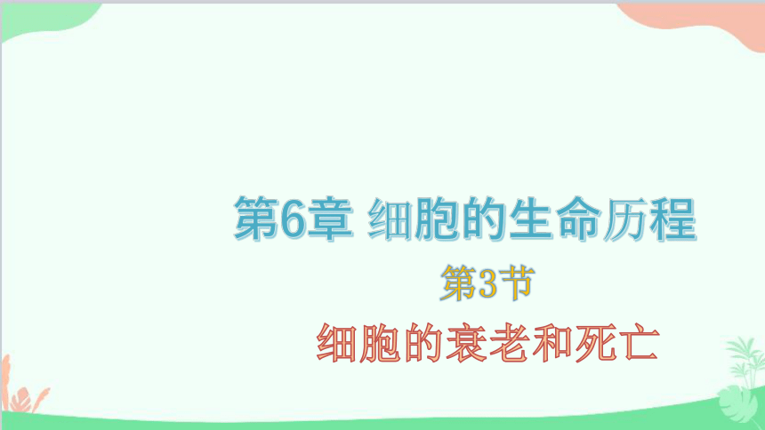 生物人教版(2019)必修1 第6章 细胞的生命历程 第3节细胞的衰老和死亡课件(共74张PPT)