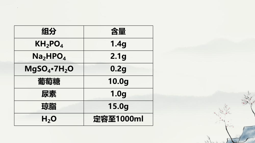 1.2.2土壤中分解尿素的细菌的分离与计数课件(共27张PPT)-人教版选择性必修3