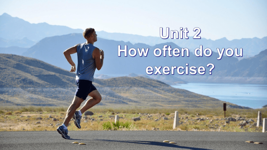 Unit 2 How often do you exercise? Section B 3a-self check课件38张