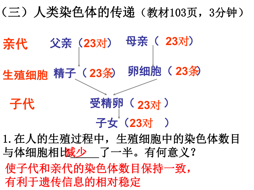 4.4.3 人类染色体与性别决定 课件（共14张PPT）