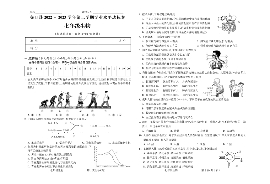 山西省吕梁市交口县2022-2023学年七年级下学期期末生物试题（PDF版含答案）