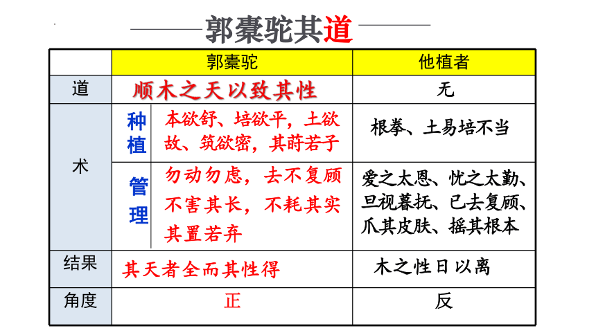 2021-2022学年统编版高中语文选择性必修下册11《种树郭橐驼传》(共23张PPT)