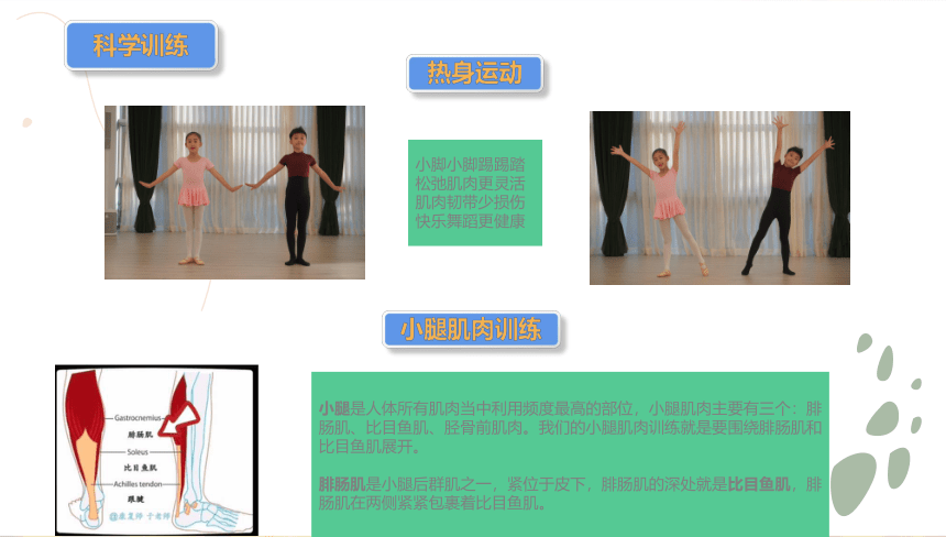 二年级舞蹈美育 小学腿部塑形 课件 (共15张PPT)