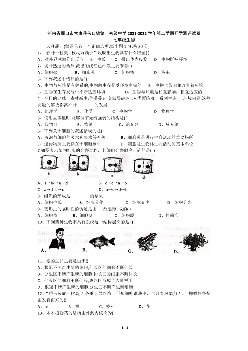 河南省周口市太康县朱口镇第一初级中学2021-2022学年七年级下学期开学考试生物试卷（Word版无答案）