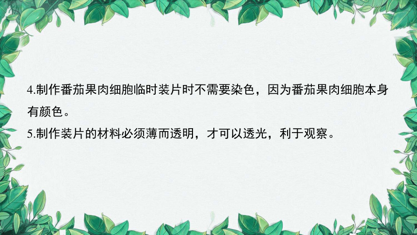 2023年中考生物复习 课题五 制作临时装片课件(共26张PPT)