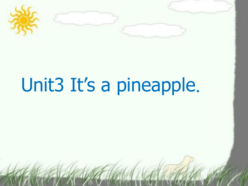 Unit3 It's a pineapple（Lesson15) 课件（共17张PPT）