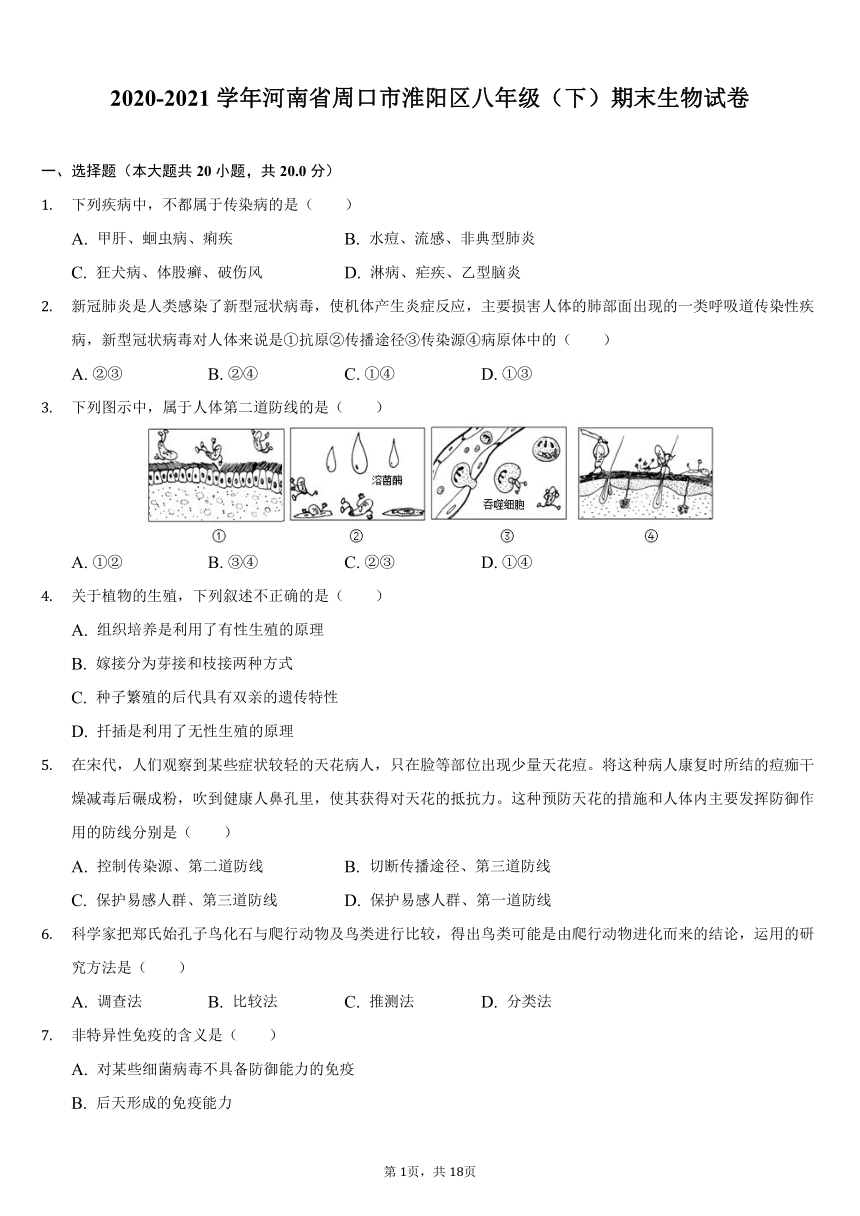 2020-2021学年河南省周口市淮阳区八年级（下）期末生物试卷（word版，含解析）