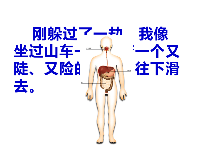 冀教版（2001）六年级科学下册2.5消化与吸收 (课件共25张ppt)