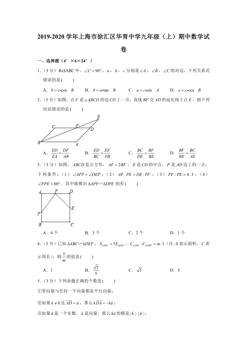 2019-2020学年上海市徐汇区华育中学九年级（上）期中数学试卷（Word版 含解析）