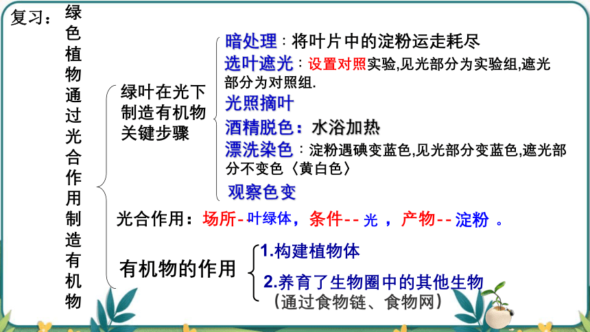 3.5.1光合作用吸收二氧化碳释放氧气课件(共45张PPT) 2022-2023学年人教版生物七年级上册