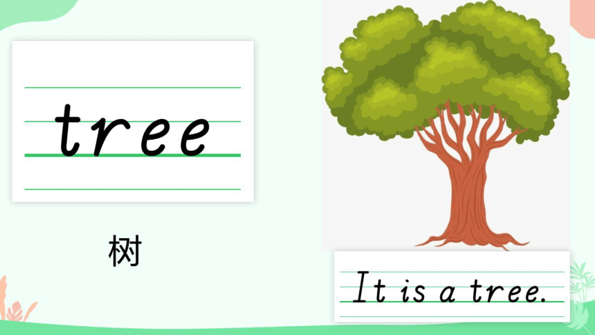 接力版-三上 Lesson 5 Is it a tree 同步精选课件（希沃版+图片版PPT)