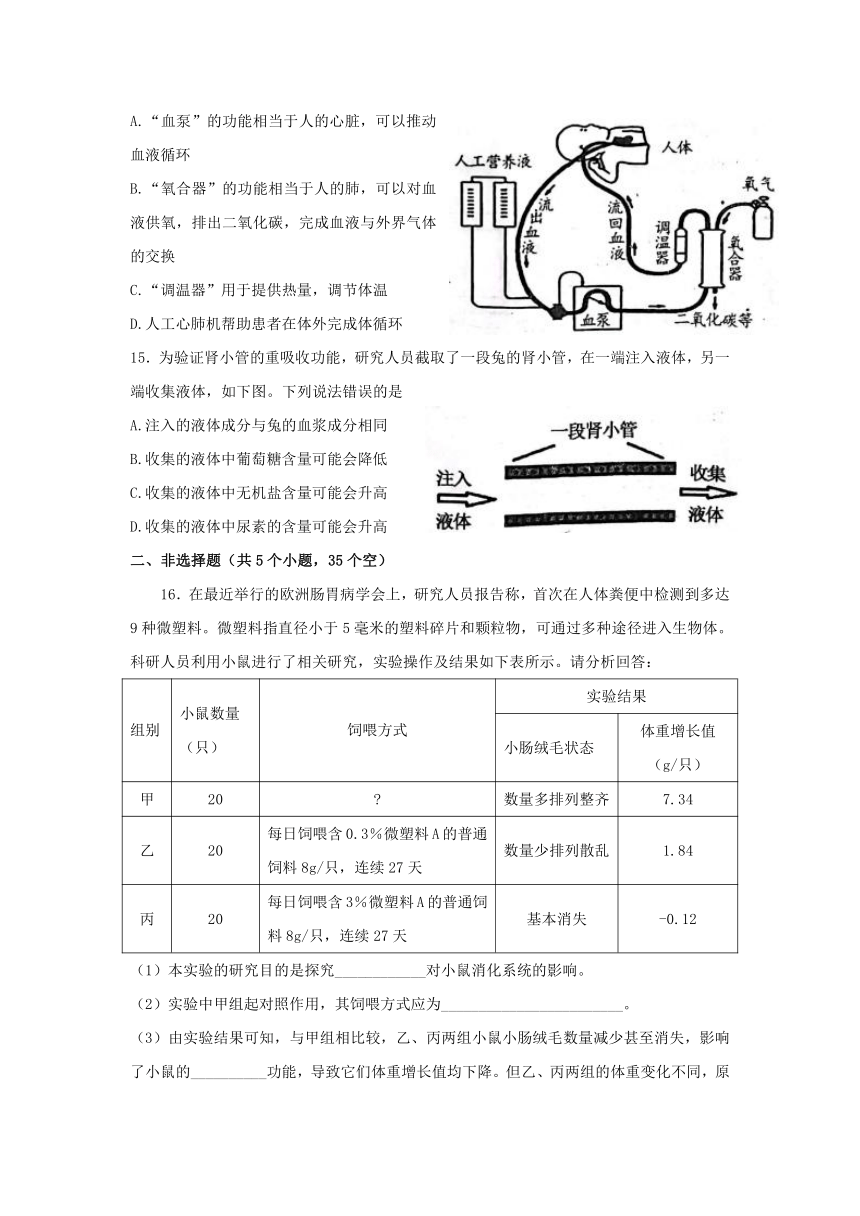 山东省泰安市肥城市（五四学制）实验中学2021-2022学年七年级上学期期末考试生物试题（word版含答案）