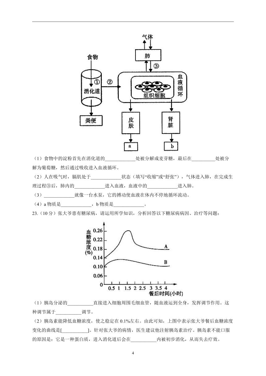 2022-2023学年苏教版八年级上学期开学摸底考试生物试卷B卷(word版  含答案）