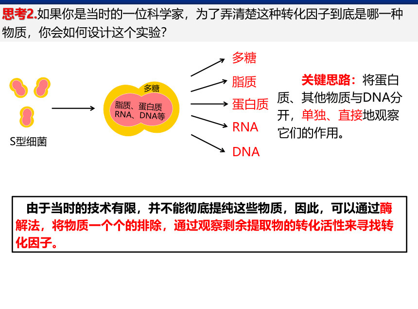 3.1 DNA是主要的遗传物质-高一生物课件（26张ppt）（人教版2019必修2）