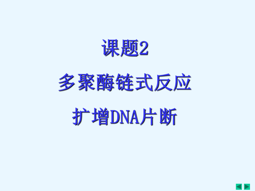 人教高中生物选修一5.2多聚酶链式反应扩增DNA片断 课件（27张ppt）