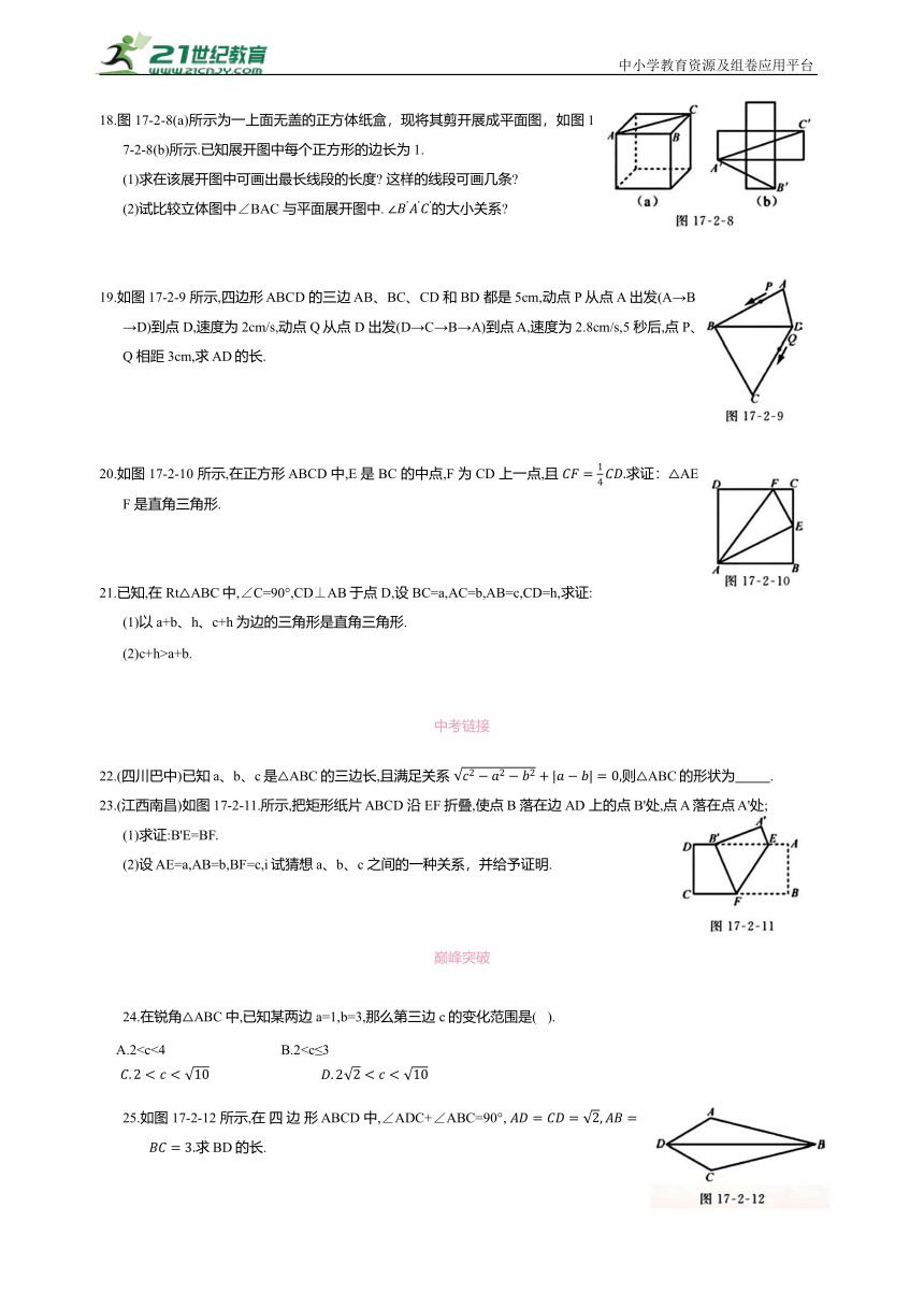 第二节勾股定理的逆定理复习讲义（含答案） 2023-2024学年 人教版八年级数学下册