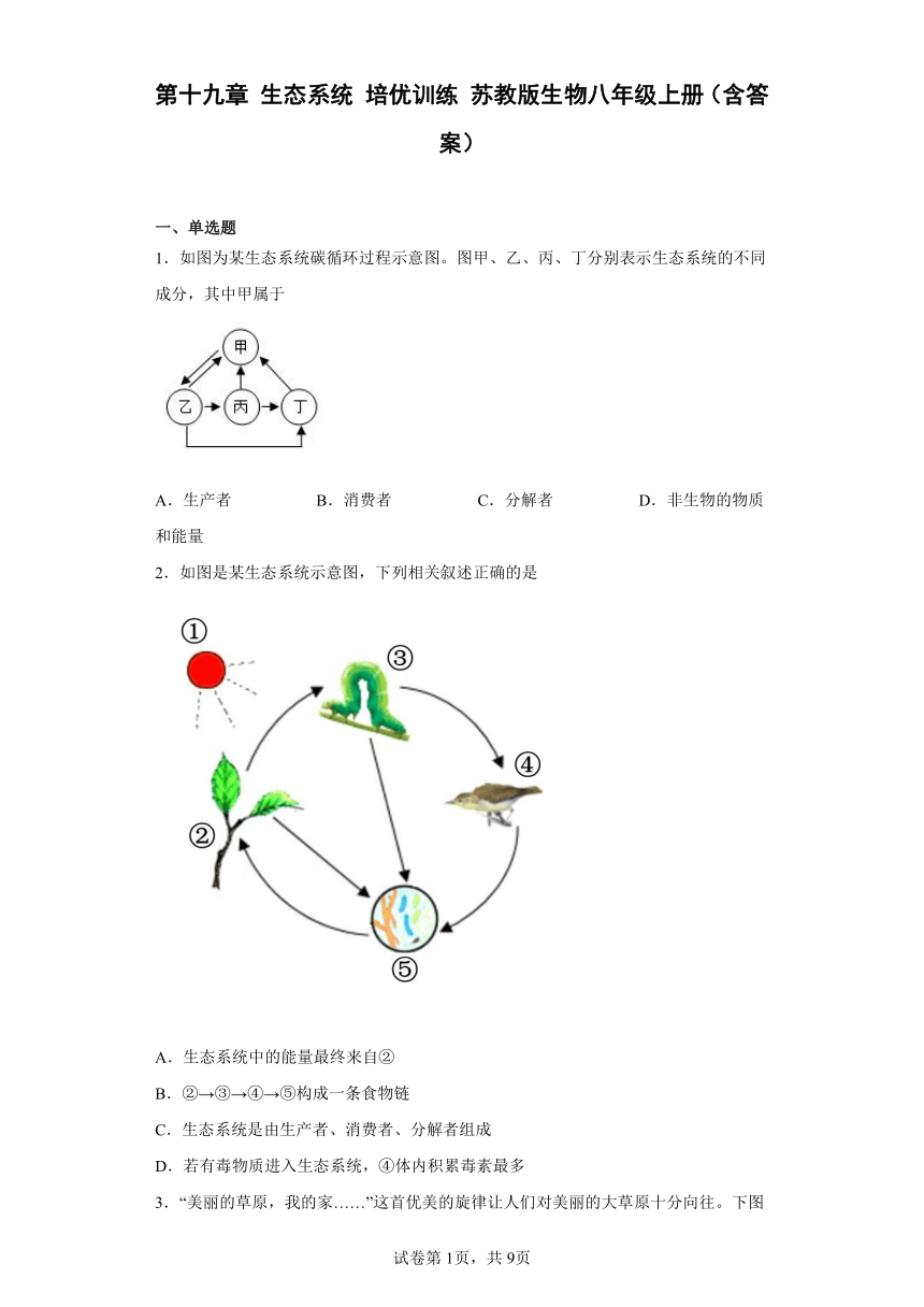 第十九章 生态系统 培优训练 苏教版生物八年级上册（含答案）