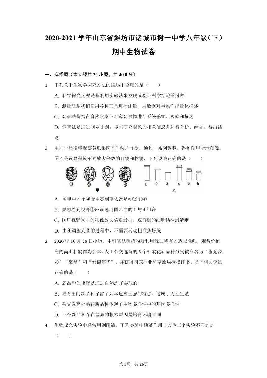 2020-2021学年山东省潍坊市诸城市树一中学八年级（下）期中生物试卷（word版含解析）