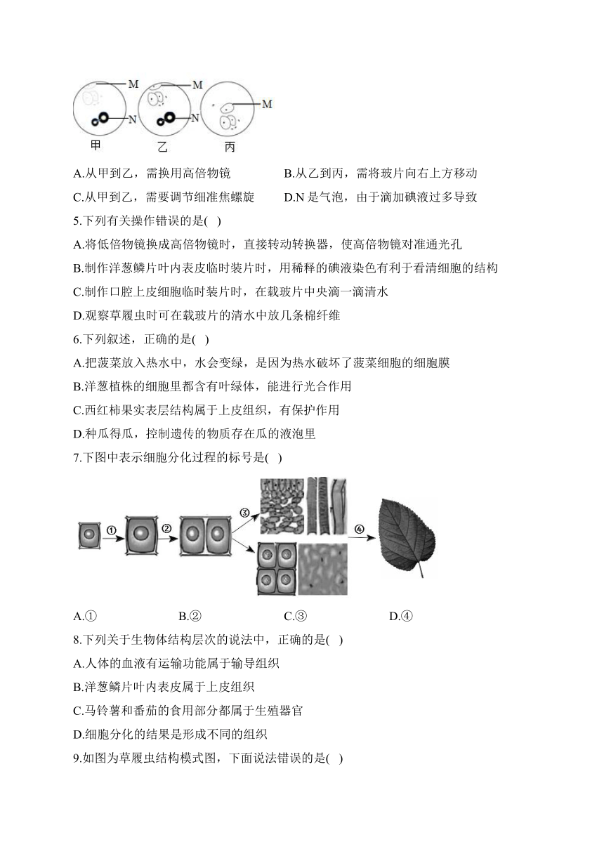 人教版七年级生物下学期开学测试练习 B卷（含解析）