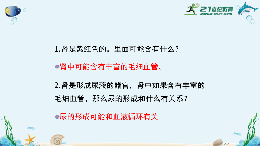 人教版七年级生物下册4.5人体内废物的排出（共35张）