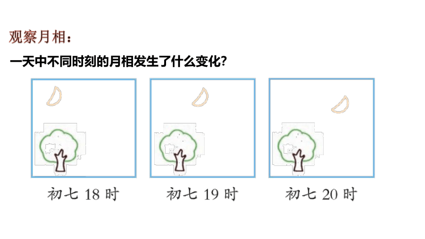 青岛版（六三制2017秋）四年级下册3.12.月相的变化 (课件14张PPT)