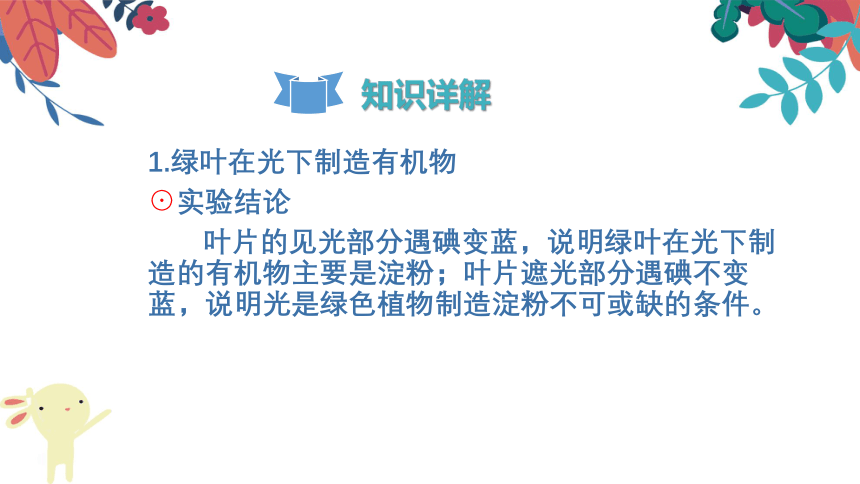 2021-2022学年初中生物人教版七年级上册 3.4绿色植物是生物圈中有机物的制造者  复习课件(共24张PPT)