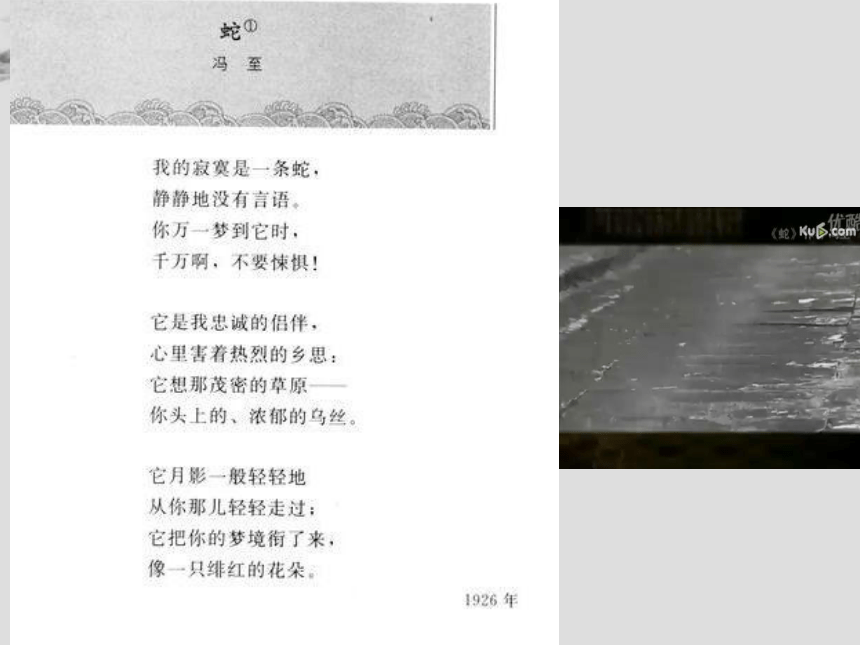 人教版高中语文选修--中国现代诗歌散文欣赏《蛇》课件(共16张PPT)