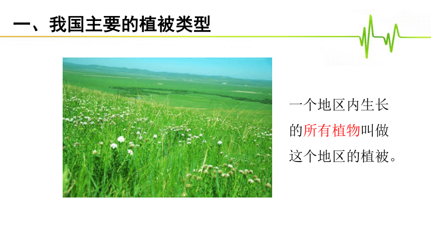 第三单元第六章  爱护植被，绿化祖国课件(共15张PPT)