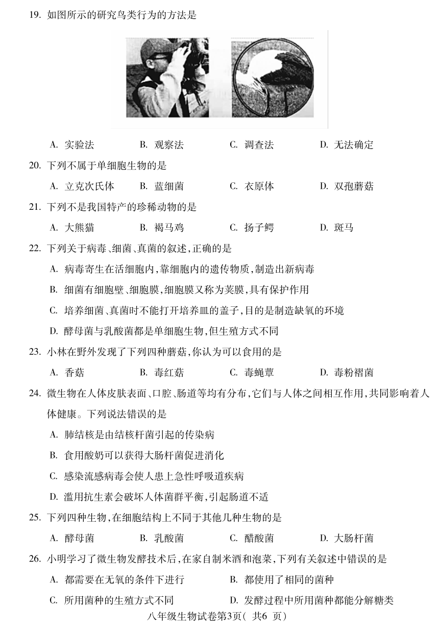 安徽省宣城市第六中学2022-2023学年八年级上学期生物期中试卷（PDF版含答案）